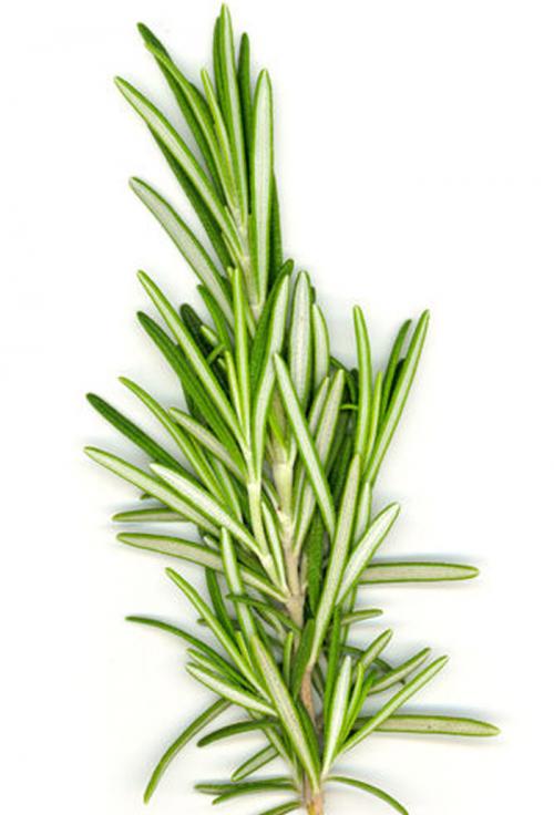 Herbs for skin tags